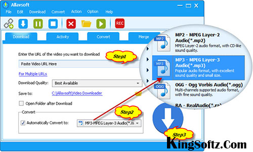 Allavsoft Video Downloader Converter license key KingSoftz