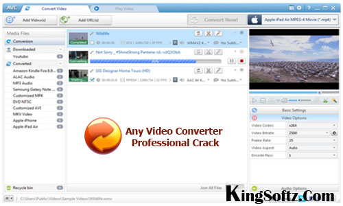 Any Video Converter Professional Serial key