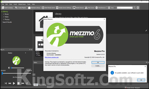 Conceiva Mezzmo Pro Serial Key Full Version