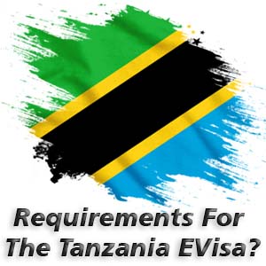 Requirements For The Tanzania EVisa